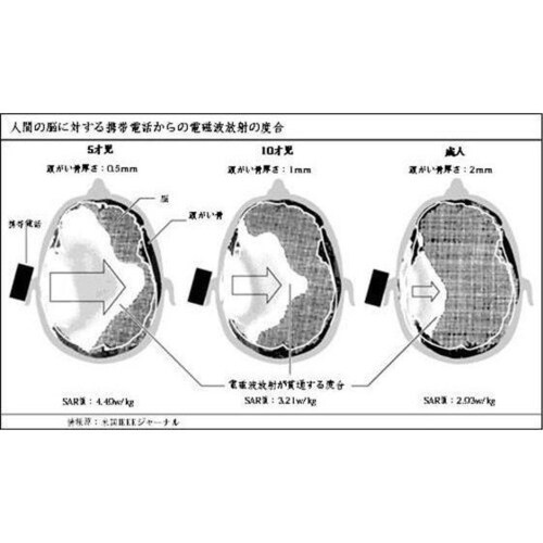 ケータイ電話の発ガン性

ケータイ電話が電磁波を発生するというのは少し調べれば出てきますが、それでもそのような話というのは表に出てきません。
トニー・アイザクスという方が、ケータイ電話の問題について記...
