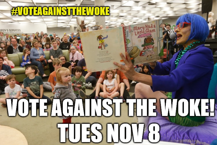 Vote Against The Woke! Tues. Nov 8.  #VoteAgainstTheWoke