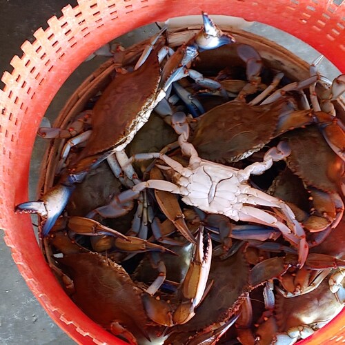 male and can't have a baby it's biologically impossible