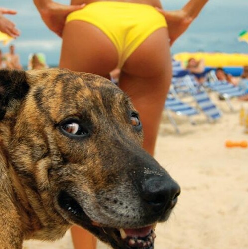 🇨🇦 Patriot, God wins, Romans 8:28
Trump won. elections are corrupt.
Devolution is real. We are the plan. Be heard.
Q17