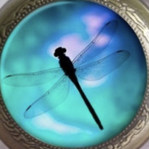 #ThankfulBeliever #SavedByGrace #Over50 #HappilyMarriedToMyHero #MomTo6TerrificAdults #NanaTo3ThiefofHearts1Grandboy2Gra...