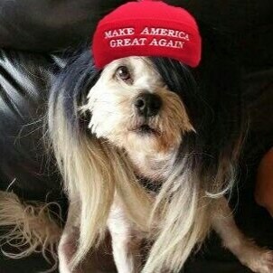 Patriotic American who loves my country,, my family,, and God. I'm also partial to my guns. Trump Republican. #AmericaFi...