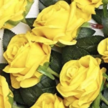 Free to question; free to speak
❤️Stephen K.Bannon's WarRoom.🇺🇸 Vote out every Rino. Also on X.
Pronouns: Trump. won.
...