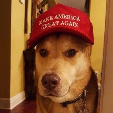 #MAGA Shadow banned by Twitter.  I Will never stop supporting our legitimate President Trump! 🇺🇲TRUMPWON🇺🇲