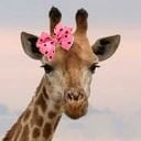 Sign and share peeps.