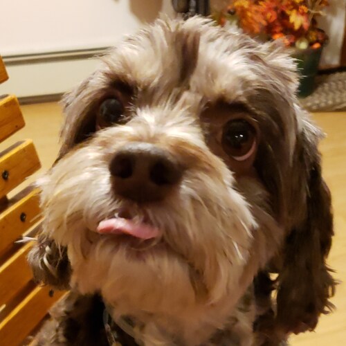 God is in control.  🙏 Devoted to God & family. 🇺🇸 Proud Patriot. 🇺🇸 Save America. Joe, you know who won.