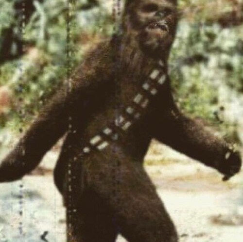 Lemming and Sheep Tamer