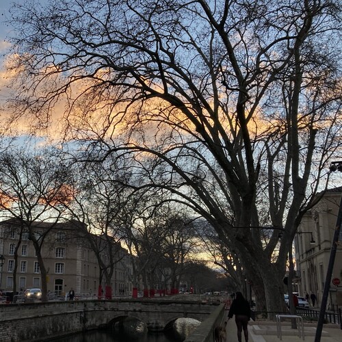 Visit sher_s's profile on GETTR. View their posts, photos, videos, and connect with them on the social platform.