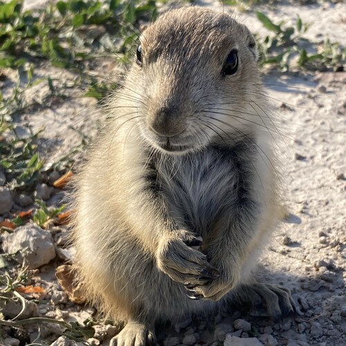 America Faith Family and Freedom! 🇺🇸🇺🇸🇺🇸❤️