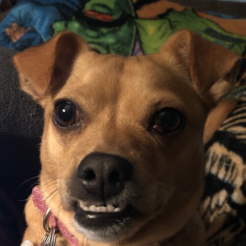 Christian, loving husband, proud dad of Ivy League grad (Columbia MSW); YHC, UGA, Brenau (MPA) grad; Wx buff;Braves fan;...