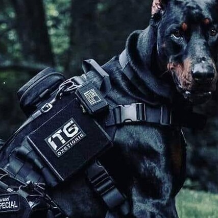 Visit 64Rich's profile on GETTR. View their posts, photos, videos, and connect with them on the social platform.