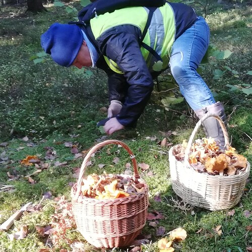 freedom, Jesus, non-vaxed, Trump, love my family, pronouns: Letsgo/Brandon