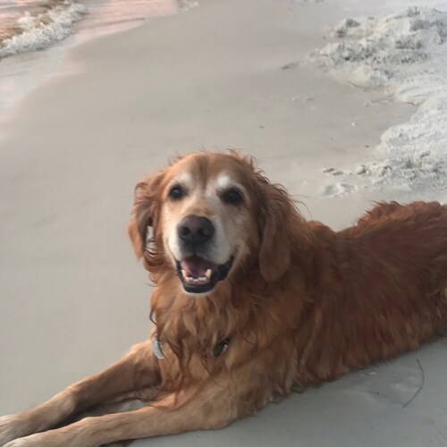 retired government employee. I’ve seen the inside