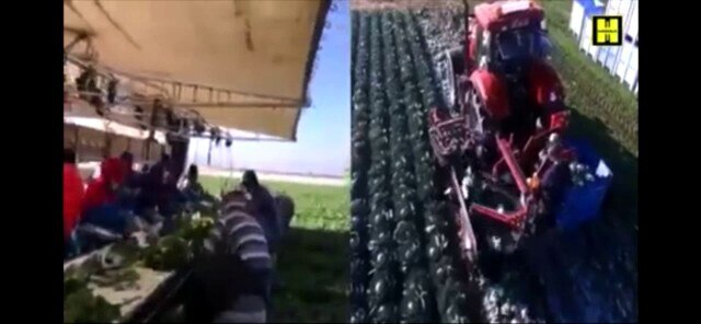 @radioquebec L’ère de l’intelligence artificielle !

On nous remplace par des robots… est-ce vraimen...