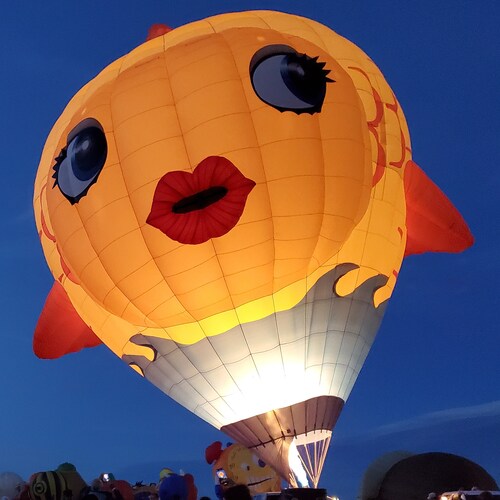 Full time RVer, road schooling mommy of 3.  I will not comply.