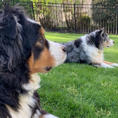 Visit brizzie01's profile on GETTR. View their posts, photos, videos, and connect with them on the social platform.