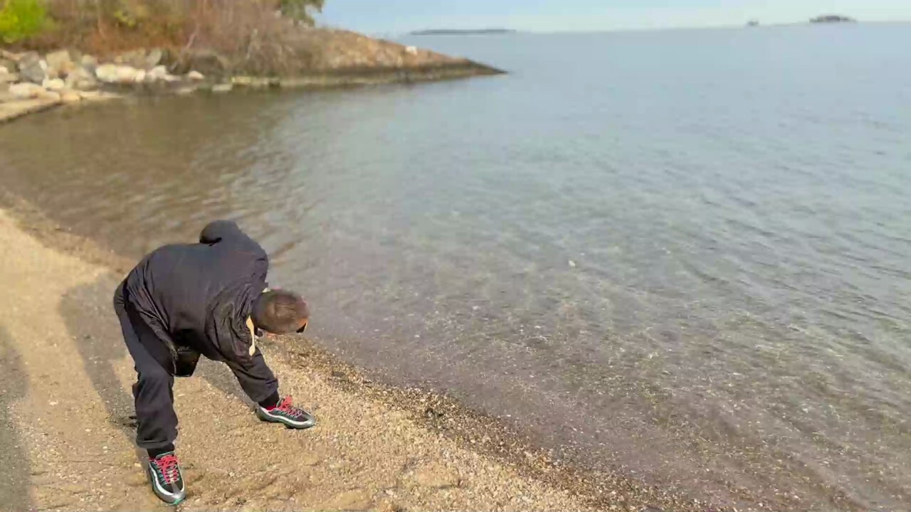 11月25号：感恩节的快乐……