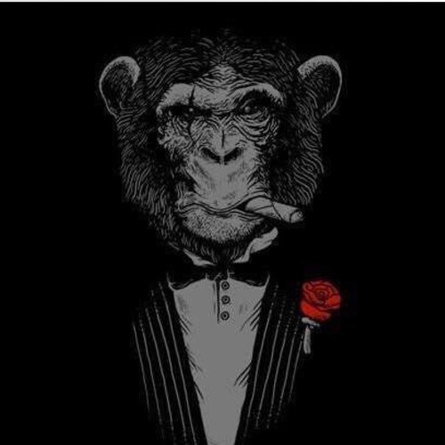 Official Page of CJ Hanlon. Mosquito/Dog Magnet. Pronouns: Letsgo/Brandon. Observer Of The Absurd. Whiskey/Cigar Guy. Co...