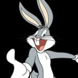 free thinker / degrees in history and computer electronics /