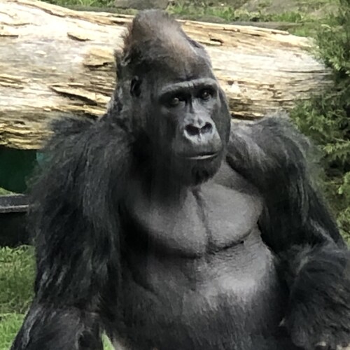 America First 🇺🇸🇺🇸 MAGA!   Abolish party of #DAVOS #WEF. End #WOKE #Cancel culture #CRT,  #Borders. #Education Stop ...