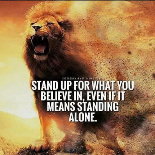 I value truth, honesty, fairness, equal opportunities, freedom, justice, kindness, compassion & love. Mom, dog trainer, ...