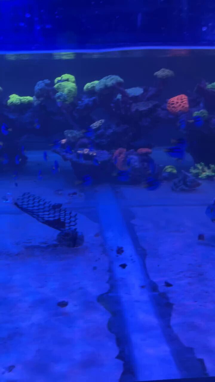 Helps take the edge off with all the dumpster fires around us. 