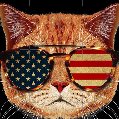 🇺🇸🍊Conservative, red pilled, truth seeker. My opinions are my own. Love my  man. MAGA, KAG, 1A, 2A, FJB, pureblood. IFBAP🍊🇺🇸 TruthSocial @patriotkelly68