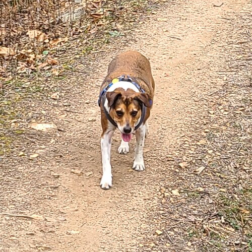 Visit richardtr's profile on GETTR. View their posts, photos, videos, and connect with them on the social platform.