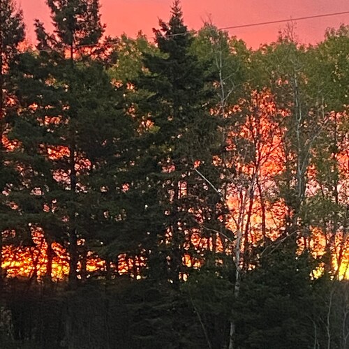 Visit hyperscan's profile on GETTR. View their posts, photos, videos, and connect with them on the social platform.