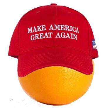 patriotic to the core
let's go Brandon
unvaxxed and healthy 
kiss my ass vaxxed sheeple
own a gun will use it to defend ...