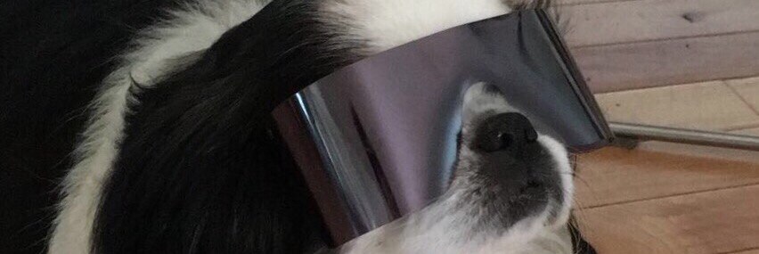 ezziesmom π