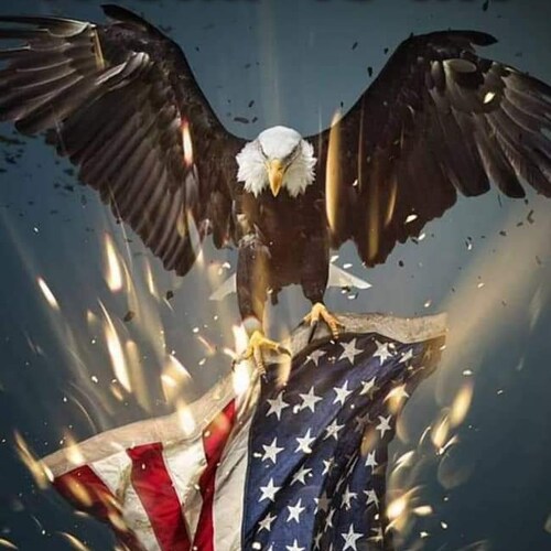 Visit bird's profile on GETTR. View their posts, photos, videos, and connect with them on the social platform.