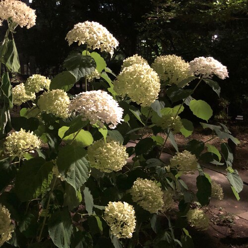 日ユ同祖論からRAPTブログにたどり着きました。氾濫する世の中の嘘から解放されました。