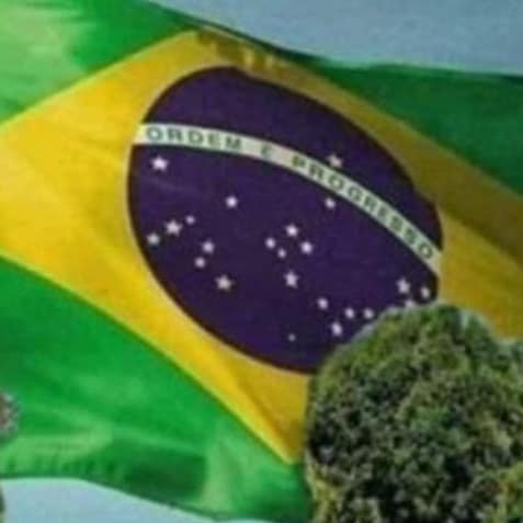 Visit Rogerio191703's profile on GETTR. View their posts, photos, videos, and connect with them on the social platform.