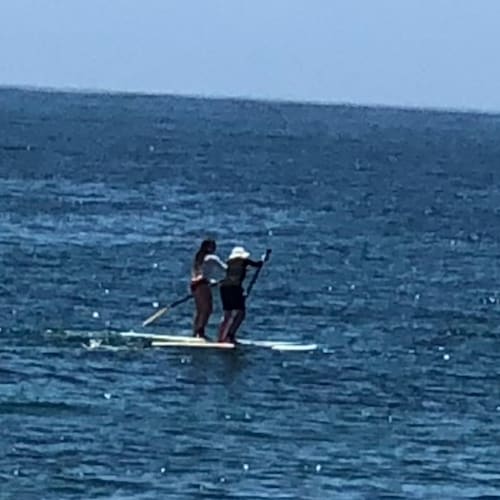 Kicked off Twitter the same day as President Trump