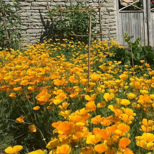 Visit rainsyyl's profile on GETTR. View their posts, photos, videos, and connect with them on the social platform.