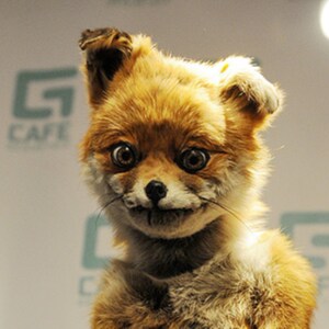 Я - карасик, ты - карасик!