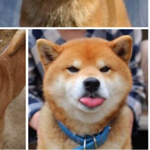 Your favourite crypto