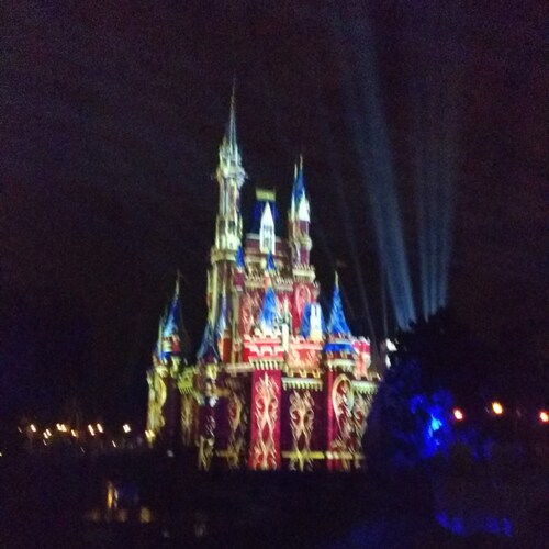 Independent, Trump supporter