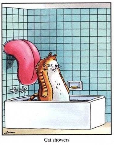 I think of this Far Side comic frequently. 

What is one of your favorites?