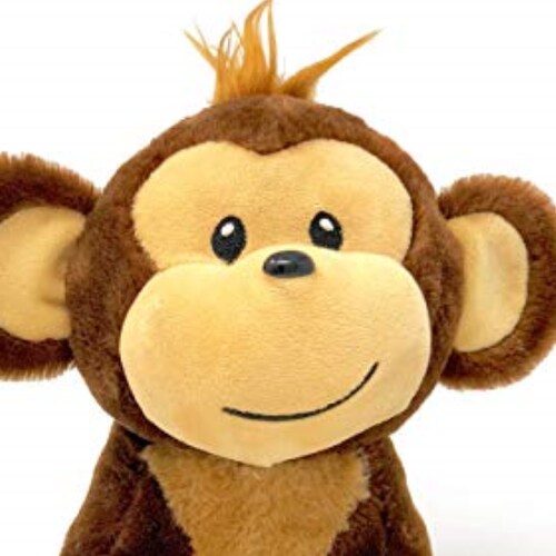 Hey I'm just a monkey. I like bananas, trees, and President Donald J Trump!