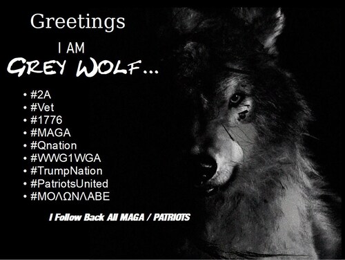 Welcome to ALL the Patriots coming over  to GETTR!
If your a Patriot, I want to follow you. We beat ...