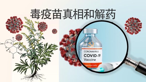 024000 病毒疫苗解药推广，法律问题是难题，但是新中国联邦人使用有保障，内部小范围试用会很快到来。