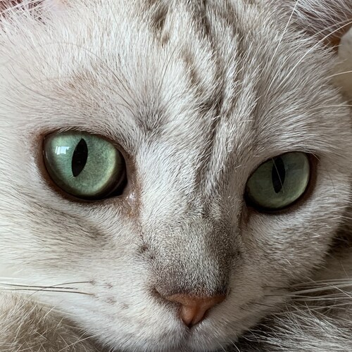 Visit black's profile on GETTR. View their posts, photos, videos, and connect with them on the social platform.