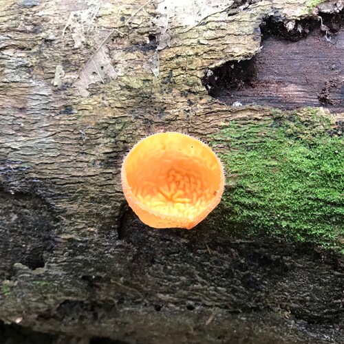 一心一念一菩提 
 一因一果一当下
當下是因亦是果
+-x/终有数🙏🙏🙏