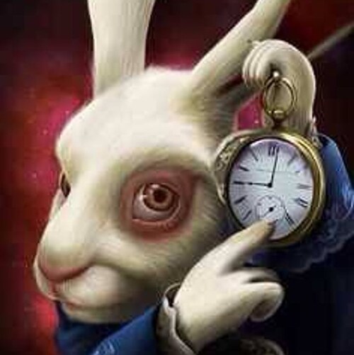 GOD.HUMANITY.PATRIOTISM.🍊TRUMPWON.🐸Q🐸