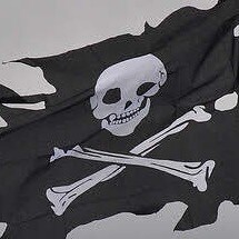 USAF Vet, God fearing Constitutional Conservative, Free Speech, MAGA, 2020 Presidential Election was a fraud, Trump is s...