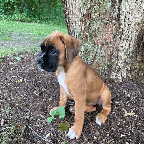 Visit tsaipod's profile on GETTR. View their posts, photos, videos, and connect with them on the social platform.