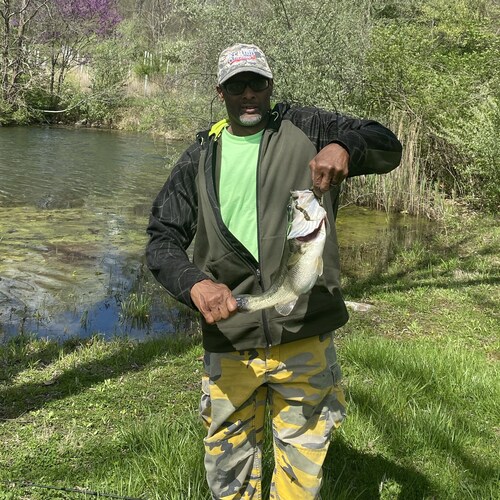 Visit adub1270's profile on GETTR. View their posts, photos, videos, and connect with them on the social platform.