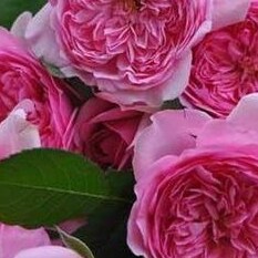 Visit khotigieh's profile on GETTR. View their posts, photos, videos, and connect with them on the social platform.